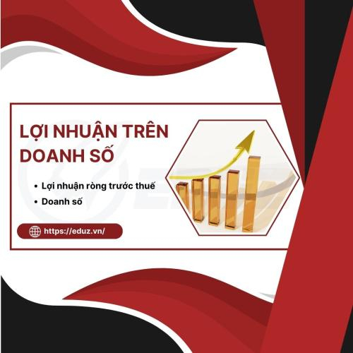 Đo Lường Markeitng: Lợi Nhuận Trên Doanh Số - EDUZ