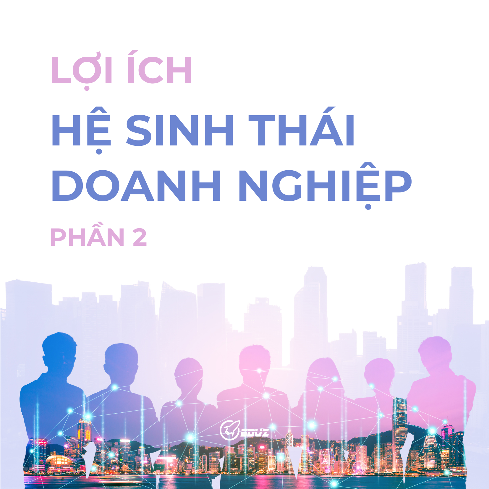 Hệ Sinh Thái Doanh Nghiệp Và 32 Lợi Ích - Phần 2