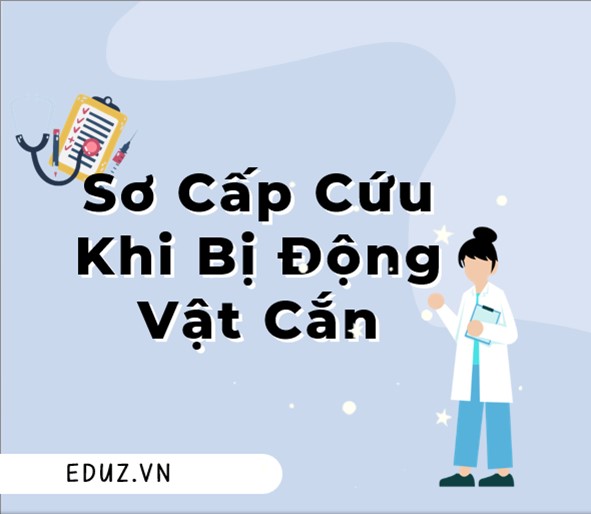 3 Phút Sơ Cứu - Sơ Cấp Cứu Khi Bị Động Vật Cắn