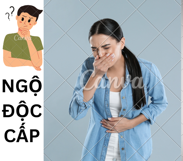 Nguyên Tắc Xử Trí Ngộ Độc Cấp