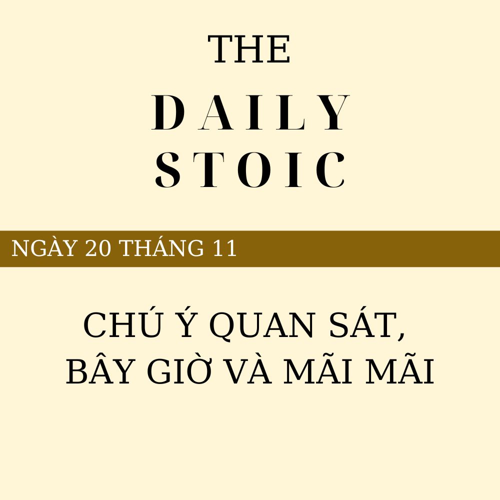 Ngày 20 Tháng 11 - Chú Ý Quan Sát, Bây Giờ Và Mãi Mãi