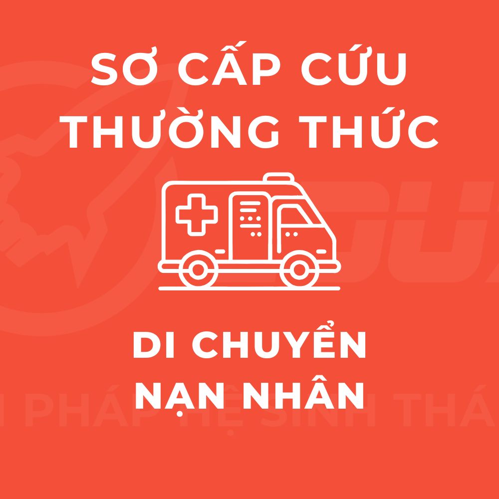 Tìm Hiểu Về Cách Di Chuyển Nạn Nhân