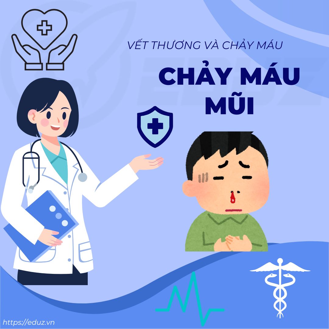 Cách Sơ Cứu Chảy Máu Mũi