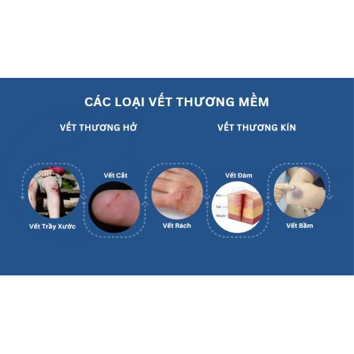 1.1. Các loại vết thương phần mềm: