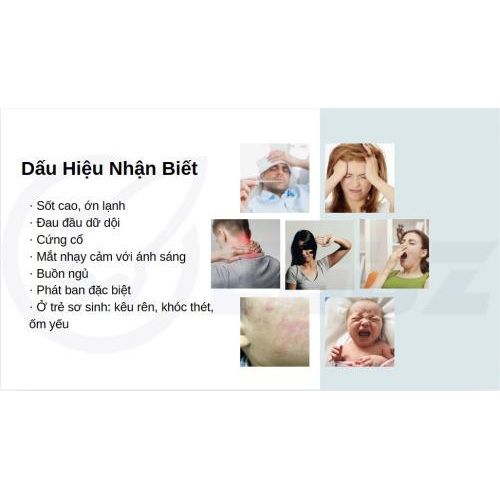 2. Dấu hiệu nhận biết: