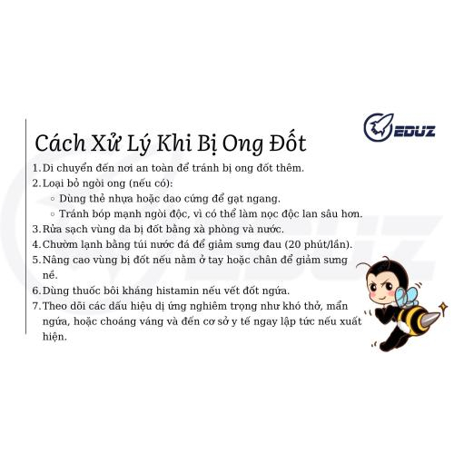 3.Cách Xử Lý Khi Bị Ong Đốt