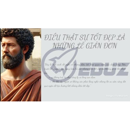 2. Trích Dẫn Từ Marcus Aurelius