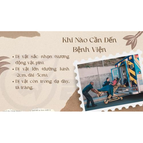 2.2 Khi nào cần đến bệnh viện