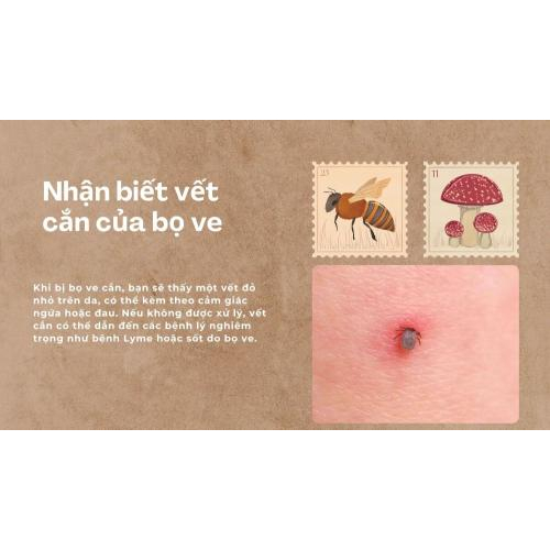 1. Nhận biết vết cắn của bọ ve