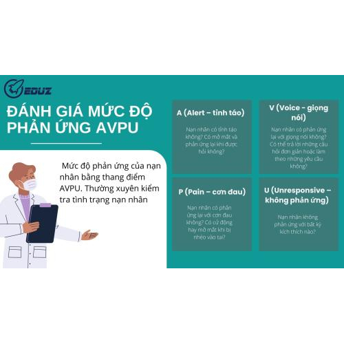 3. Đánh Giá Mức Độ Phản Ứng AVPU