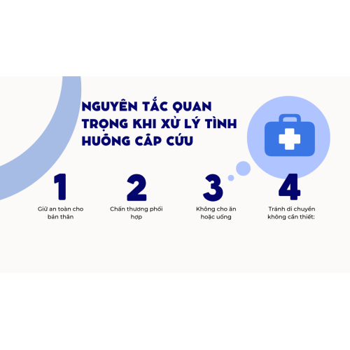 2. Những Nguyên Tắc Quan Trọng Khi Xử Lý Tình Huống Cấp Cứu