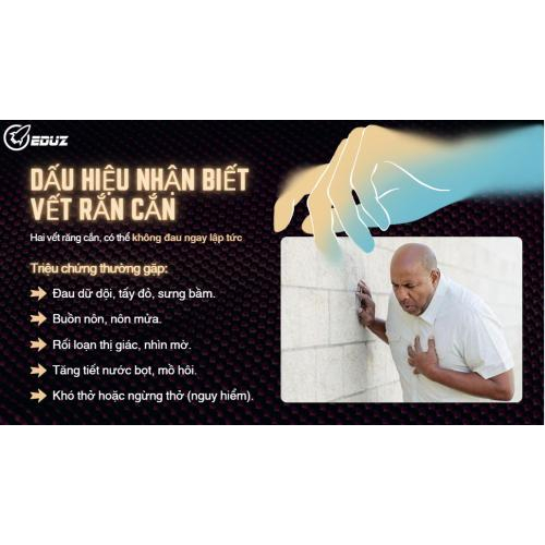 2. Các Dấu Hiệu Nhận Biết