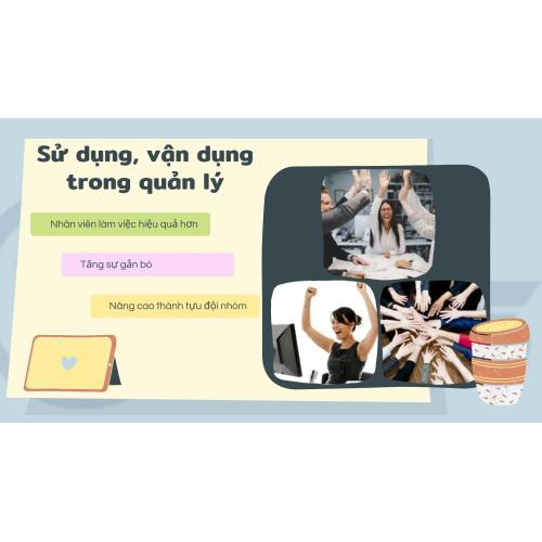 4. Sử dụng, vận dụng trong quản lý