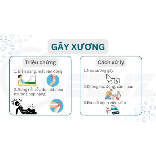 3. Gãy Xương