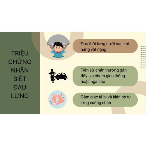 2. Triệu chứng nhận biết đau lưng