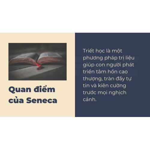 2. Quan điểm của tác giả