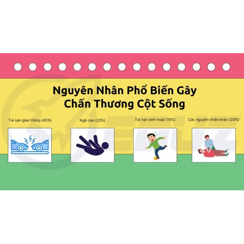 1. Nguyên Nhân Phổ Biến Gây Chấn Thương Cột Sống