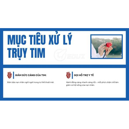 4. Mục tiêu xử lý truỵ tim