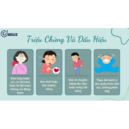 2.Triệu Chứng và Dấu Hiệu: