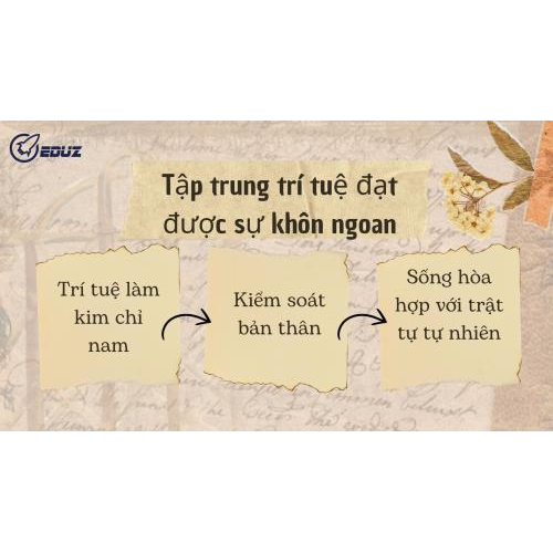 2. Quan điểm của tác giả