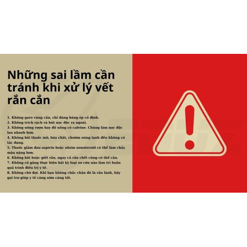 5. Những sai lầm cần tránh khi xử lý vết rắn cắn