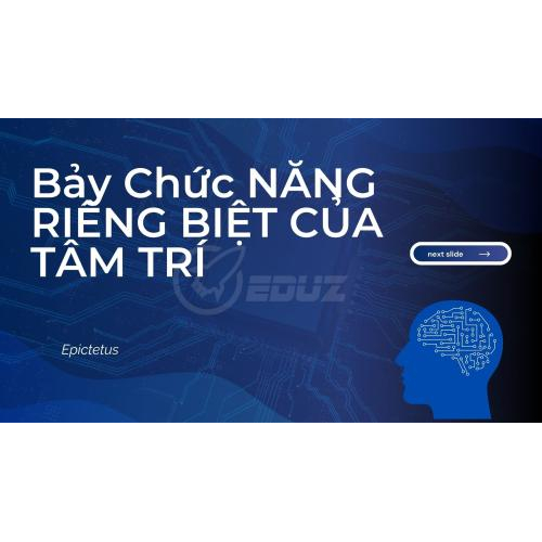 Bảy Chức Năng Riêng Biệt Của Tâm Trí