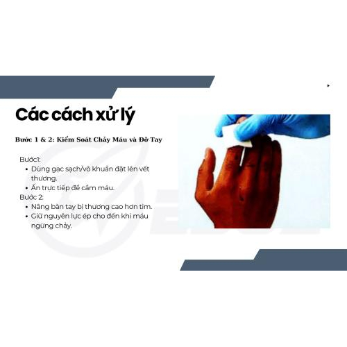 3.Các bước xử lý