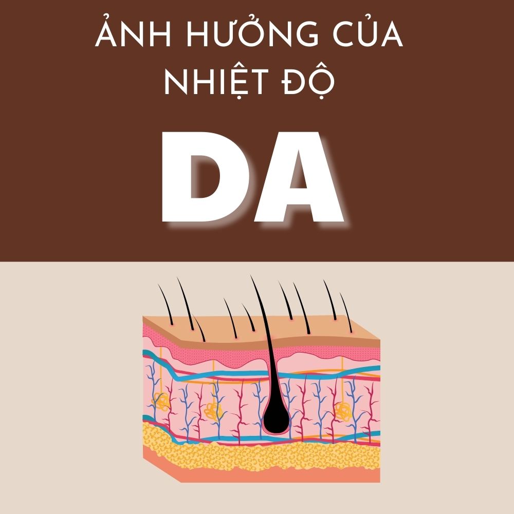 Sơ Cấp Cứu Thường Thức: Da