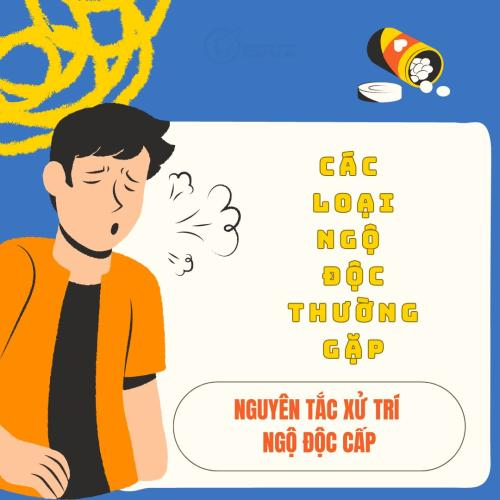 Các Loại Ngộ Độc Thường Gặp Và Nguyên Tắc Xử Trí Ngộ Độc Cấp