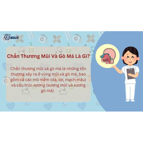 1.Chấn Thương Mũi Và Gò Má Là Gì?