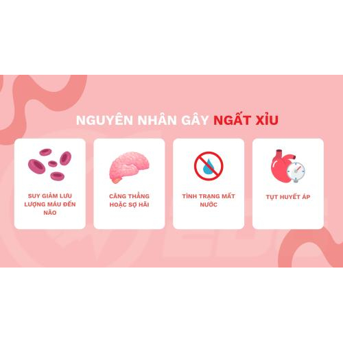 2. Nguyên Nhân Gây Ngất Xỉu