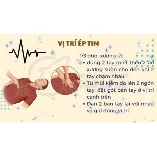 Vị trí ép tim