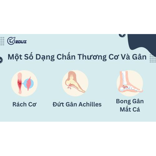 Một Số Dạng Chấn Thương Cơ Và Gân