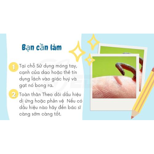 2. Bạn Cần Làm