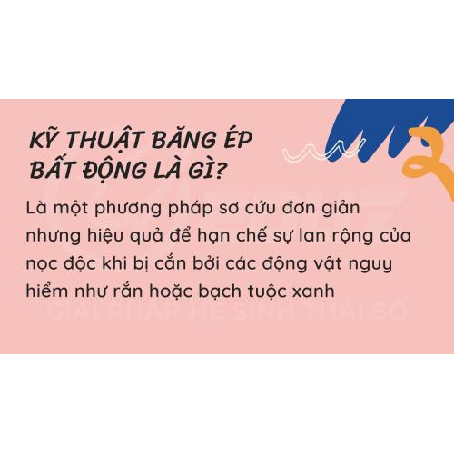 1. Kỹ thuật băng ép bất động là gì?