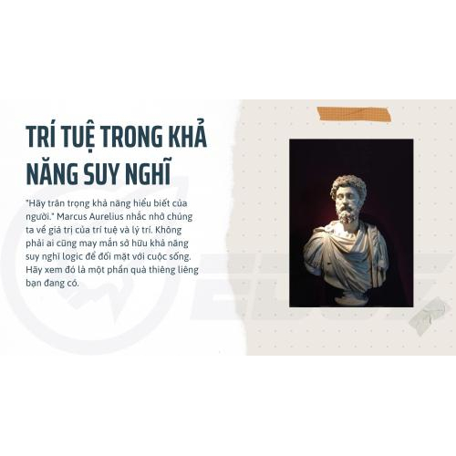 2. Trí tuệ trong khả năng suy nghĩ