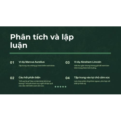 3. Phân tích và lập luận