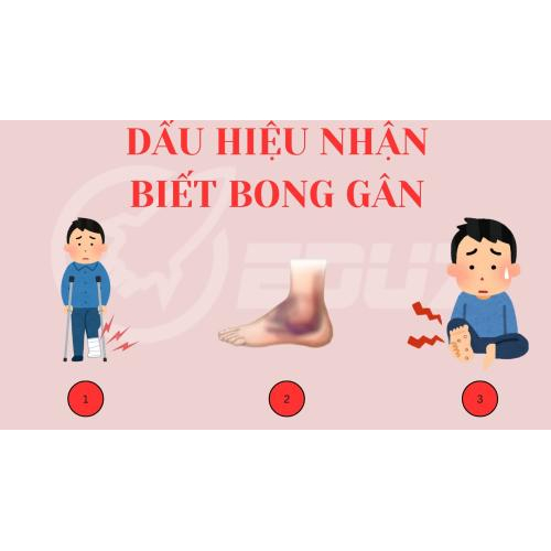 BONG GÂN