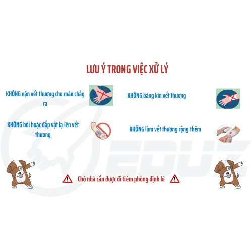 2. Những lưu ý trong việc xử lý