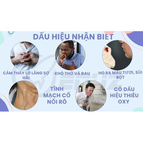 2. Dấu hiệu nhận biết