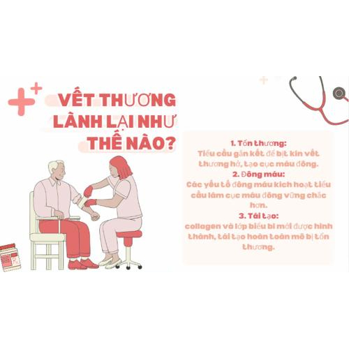 2) VẾT THƯƠNG LÀNH LẠI NHƯ THẾ NÀO?