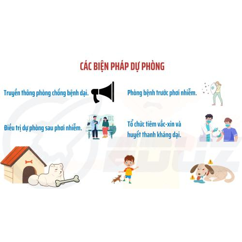 5. Các biện pháp dự phòng