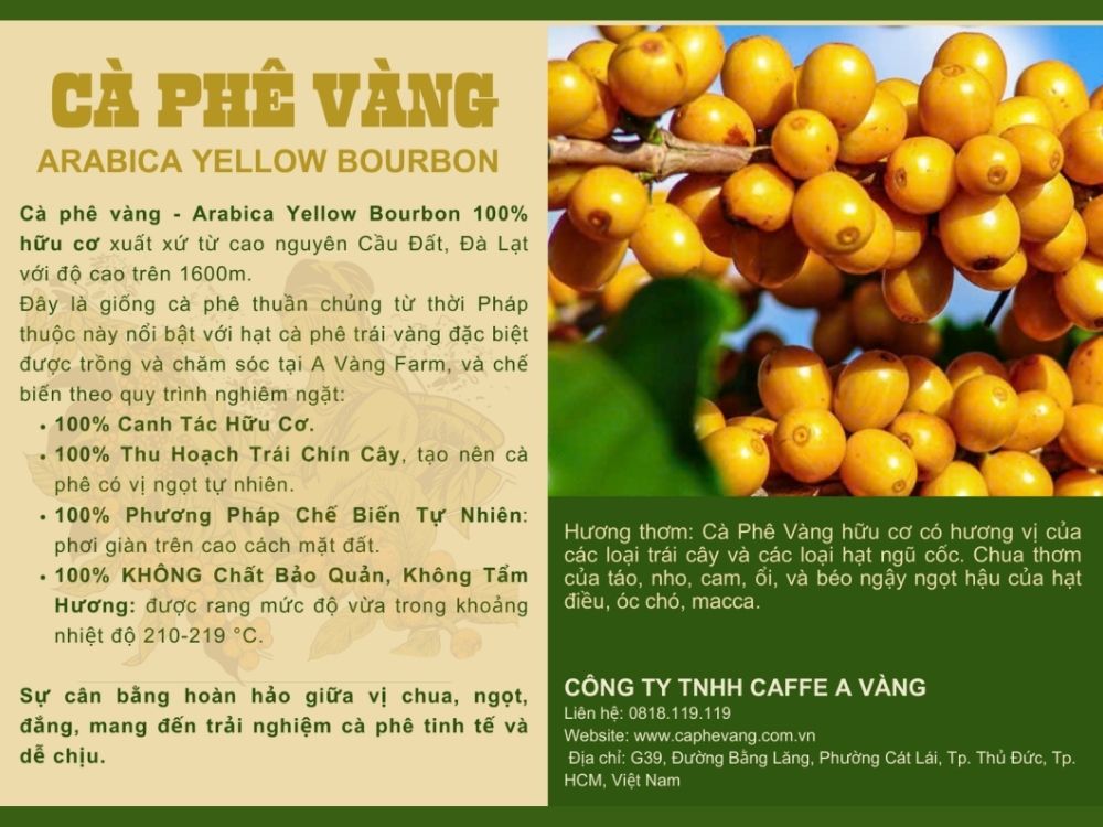 1. Tầm nhìn