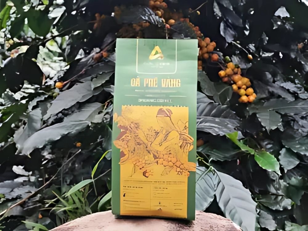 1. Cà phê vàng rang xay (250 g – hạt/bột)