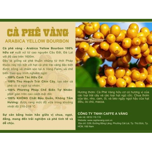 1. Tầm nhìn