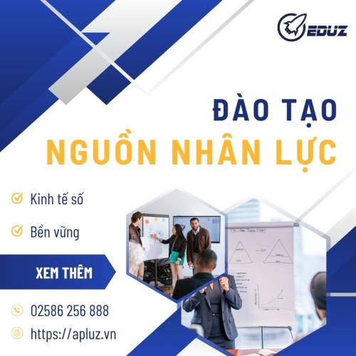 Đào Tạo Nguồn Nhân Lực Phát Triển Kinh Tế Số, Bền Vững