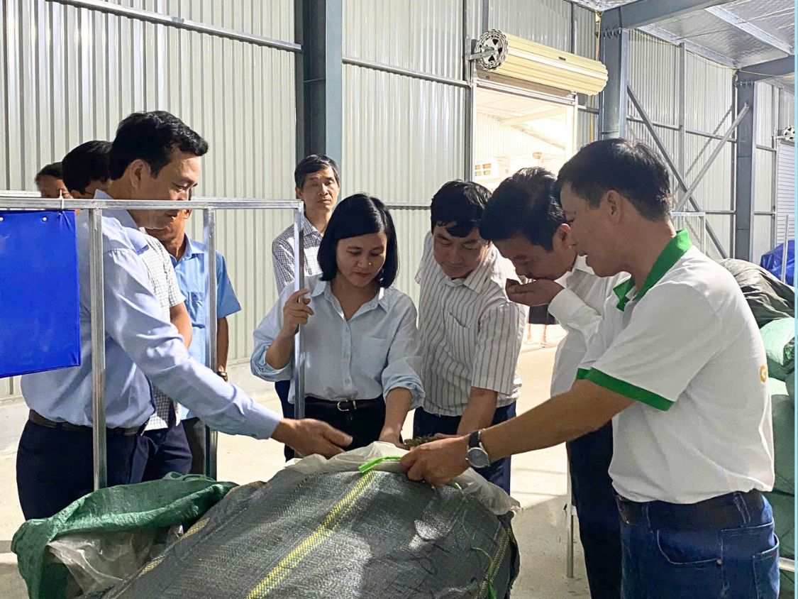 III. Mô hình sản xuất (Nhà máy)
