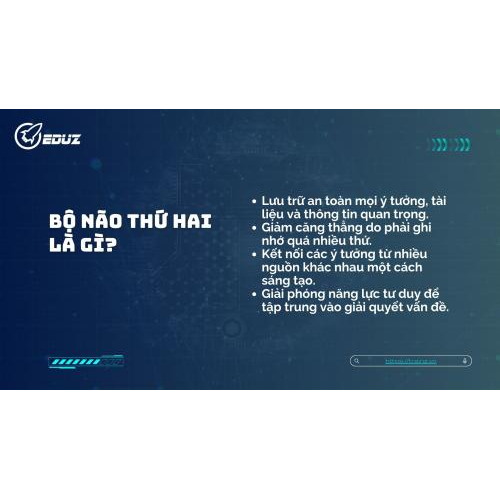 1. Bộ não thứ hai là gì?