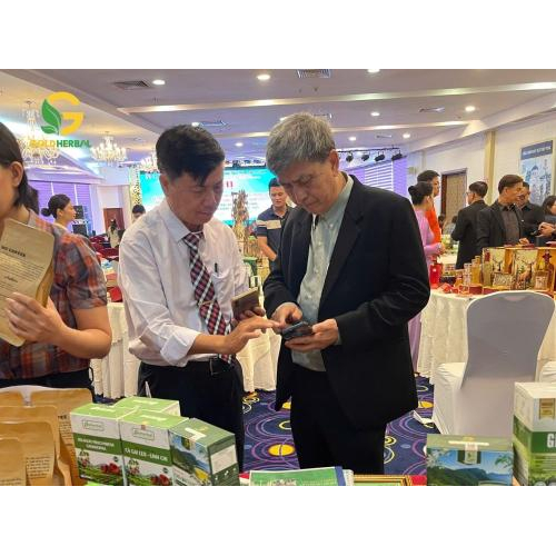 II. Sứ mệnh – Tầm nhìn – Quy mô