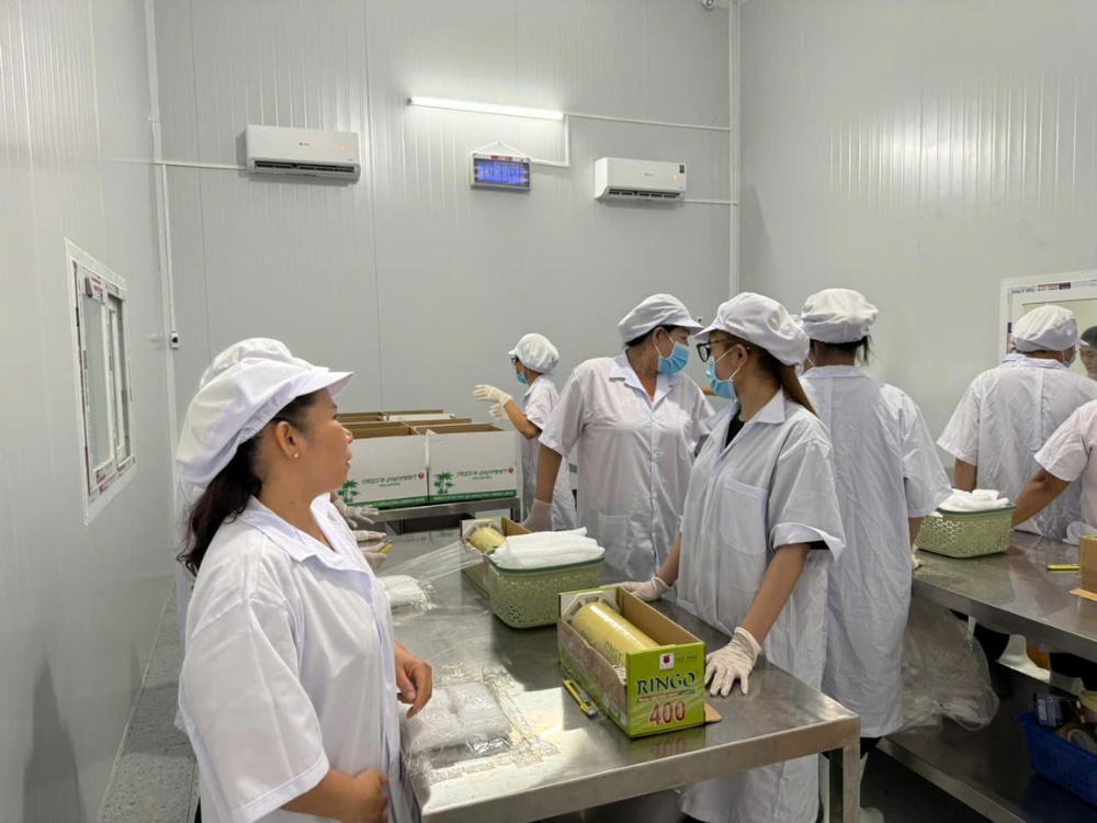 Quy trình đóng gói trái cây chuẩn xuất khẩu